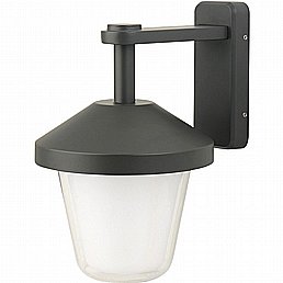 צ'לסי קיר צ'לסי קיר