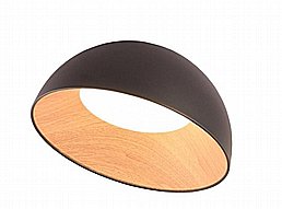 ����� ����CCT