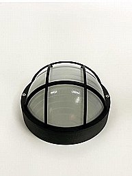 ���� ����� ���