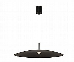 ���� ����