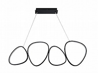 ����� ���� CCT