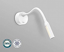 ���� ��� ���