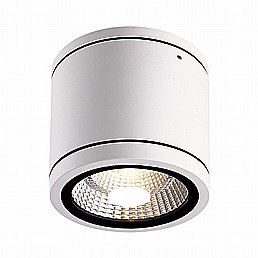 TOP ������� 22W IP65