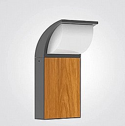 ������ ���� ���