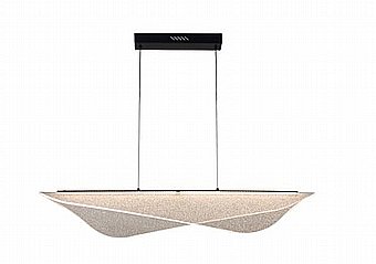 ���� ����