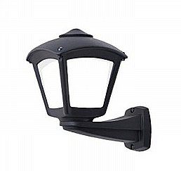 ���� ���