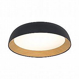 OREN צמוד CCT OREN צמוד CCT