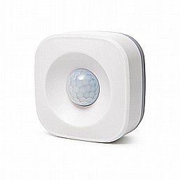 ���� ����� ���