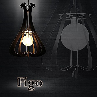 FIGO ����