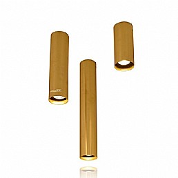 ��� ���� ����