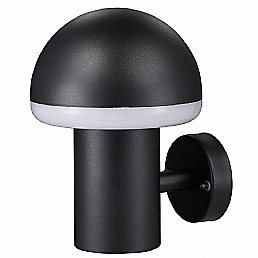 שביט פטריה קיר שביט פטריה קיר