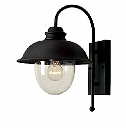 ���� ��� ���