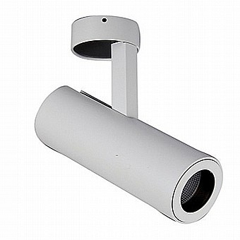 ����� ����