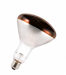 נורת חימום SICCA R125 150W RED OSRAM נורת חימום SICCA R125 150W RED OSRAM