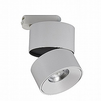 MATTEO 12W