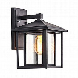 ���� ���