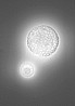 Meteorite 35 By Artemide