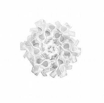  Clizia SL  Mama Non Mama By Slamp
