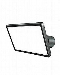 ����� ���