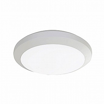 ���� ���� LED 25W + ����� �����