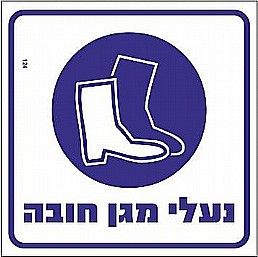 ��� ���� ��� ����