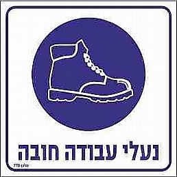 ��� ���� ����� ����