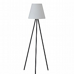 רוטשילד עמידה רוטשילד עמידה