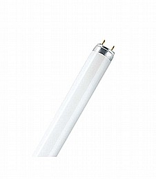 נורת פלורסנט לאקווריום T-8 36W/77 OSRAM נורת פלורסנט לאקווריום T-8 36W/77 OSRAM