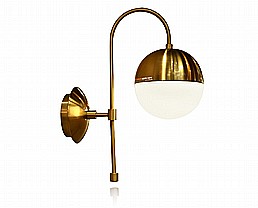 ������ ���