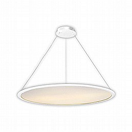 ���� ����