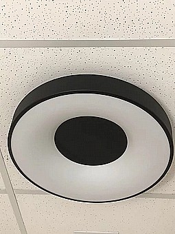 ���� ����