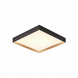 אלדו מרובע צמוד CCT אלדו מרובע צמוד CCT