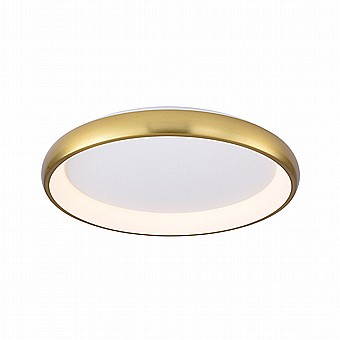 ���� ���� 