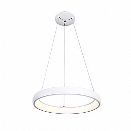 ���� ����