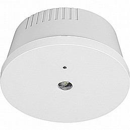 ����/�� ���� ����� �� 3W