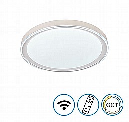 Bright חלבי CCT כולל שלט ו- WIF Bright חלבי CCT כולל שלט ו- WIF