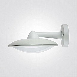 אורגון קיר אורגון קיר