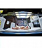 נורת TL-D 18W/52 UV-B MEDICAL THERAPY JAUNDICE