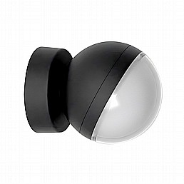 ���� ���� ���