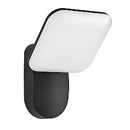 סיגל קיר סיגל קיר