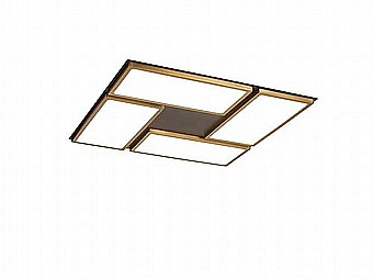 ����� ������ ����