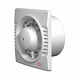 ���� ����� "Colibri100 4