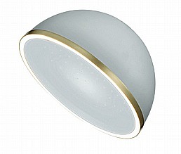 ������ ���� ����