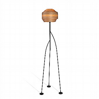 ����� �����