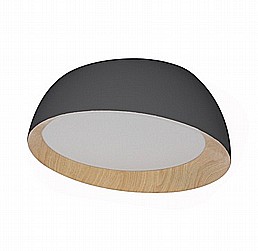 ���� ���� CCT