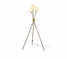 סלטיק עמידה סלטיק עמידה