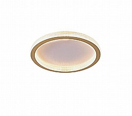 דניאל צמוד דניאל צמוד