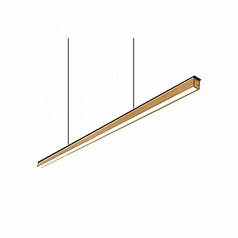 ������� ����