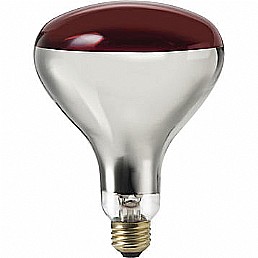 נורת חימום INFRARED 250W אדומה נורת חימום INFRARED 250W אדומה