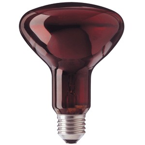 נורה רפואית אדומה  INFRAPHIL 100W